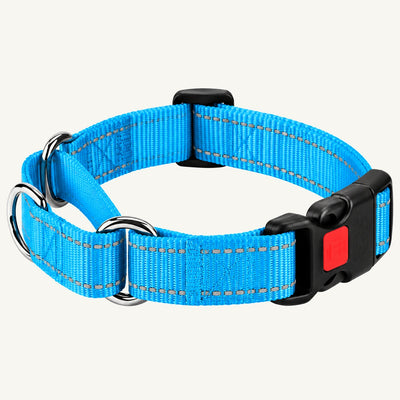 Reflective Nylon Dog Collar with Quick-Release Buckle and Adjustable Fit