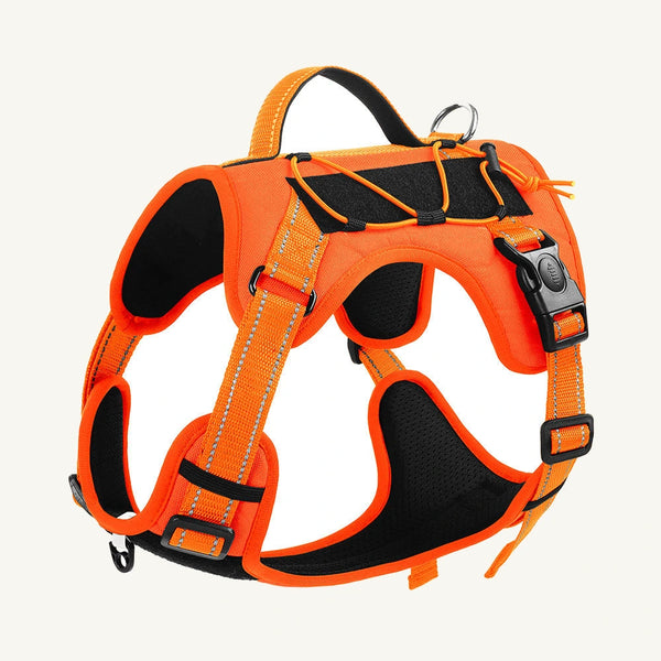 Reflective Outdoor Dog Harness with Control Handle and Bungee System