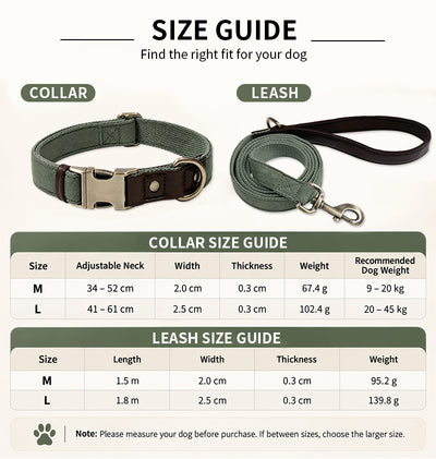 Size chart for suede-touch dog collar and matching leash showing M and L dimensions and weights