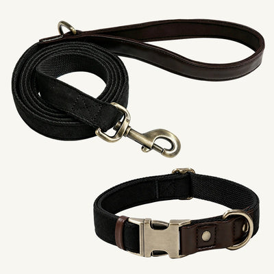 Suede-Touch Dog Collar and Leash Set with Metal Buckle