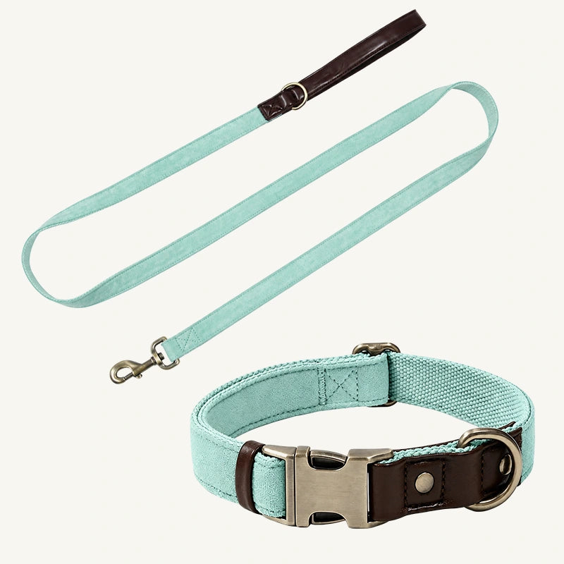 Suede-Touch Dog Collar and Leash Set with Metal Buckle