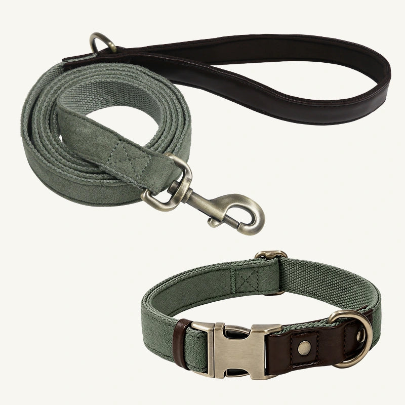 Suede-Touch Dog Collar and Leash Set with Metal Buckle