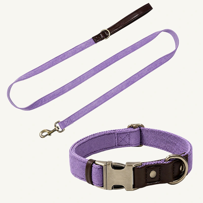 Suede-Touch Dog Collar and Leash Set with Metal Buckle