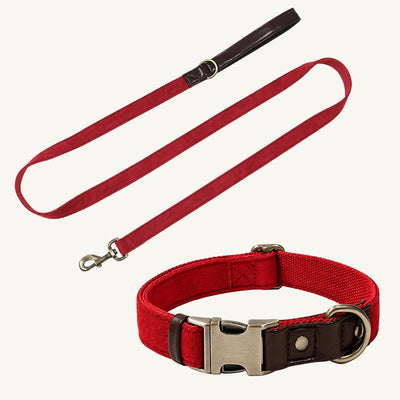 Suede-Touch Dog Collar and Leash Set with Metal Buckle